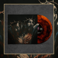Winyl 3.png