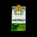 evermold_front.jpg